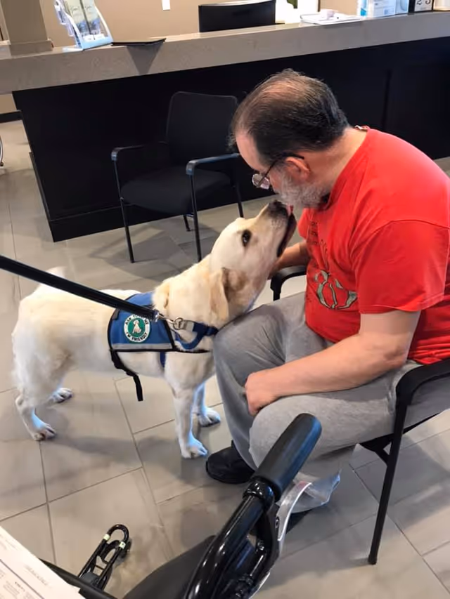 A man wearing a red shirt and gray pants sits on a chair indoors, leaning forward to interact affectionately with a white service dog wearing a blue vest. The dog is standing on a tiled floor and appears to be licking the man's face. In the background, there is a counter with chairs and some items on top.