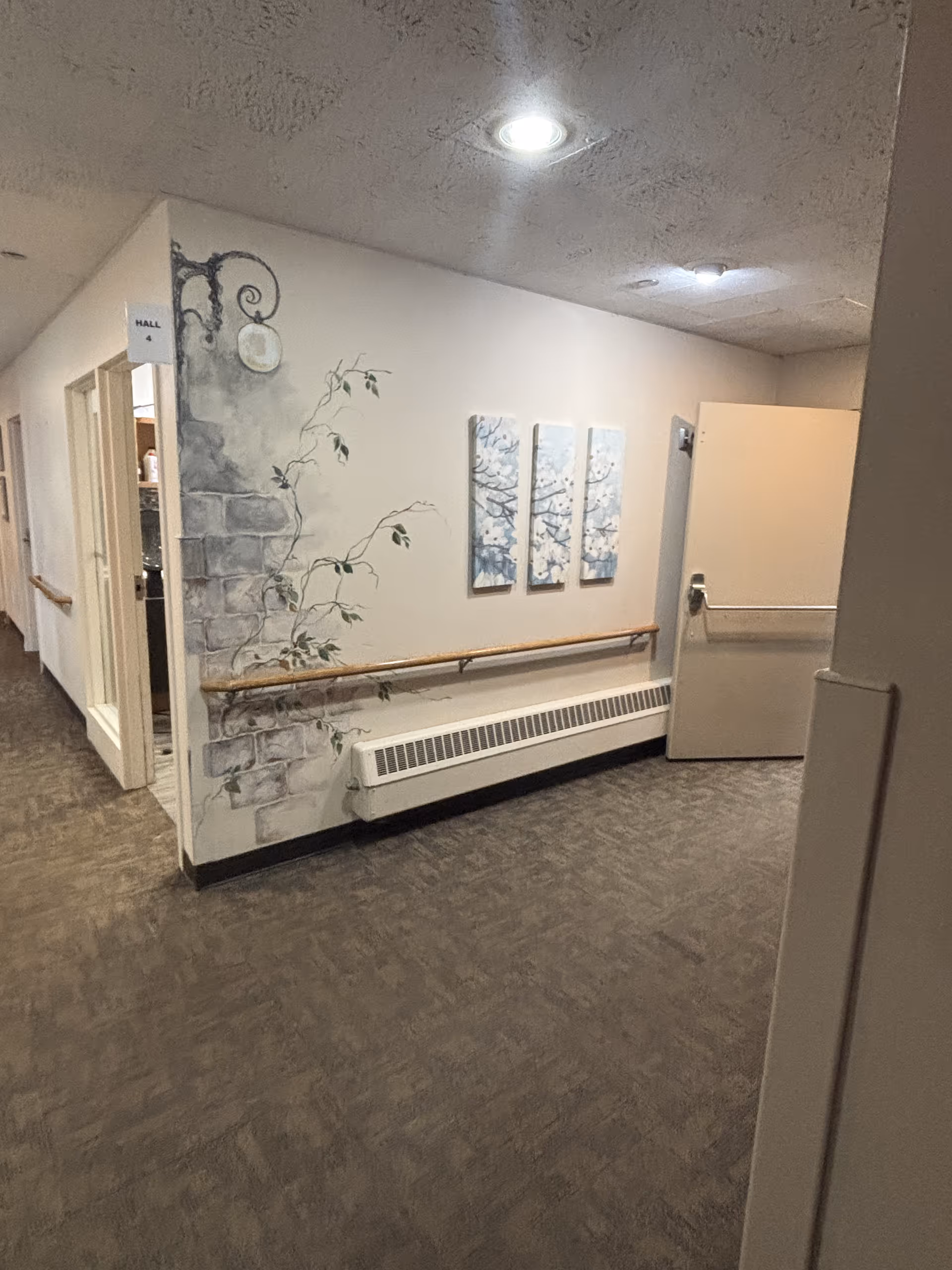 Hallway interior with handrails, a decorative vine mural, three-panel wall art and an open door.
