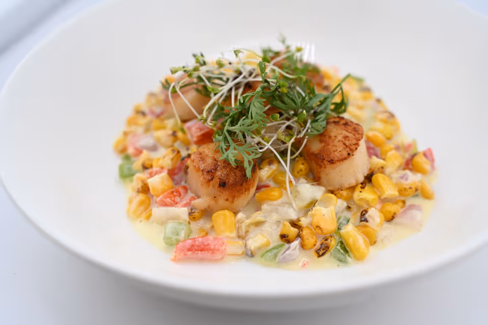 A white bowl containing seared scallops served on a bed of creamy corn and diced vegetables, garnished with fresh green herbs.