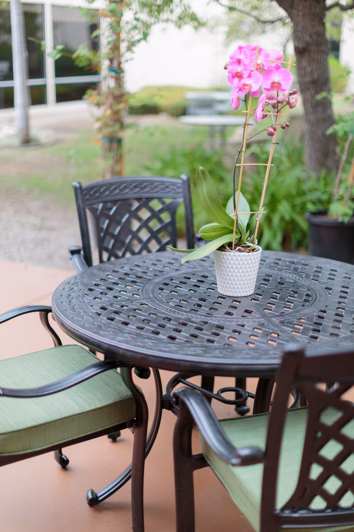 Outdoor patio area with a round metal table and four metal chairs with green cushions. A white pot with pink orchids is placed on the table. Trees and greenery are visible in the background.