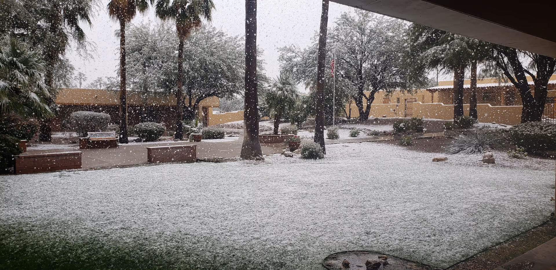 Snow falls across a grassy courtyard with palm trees, benches, planters, and surrounding beige buildings.