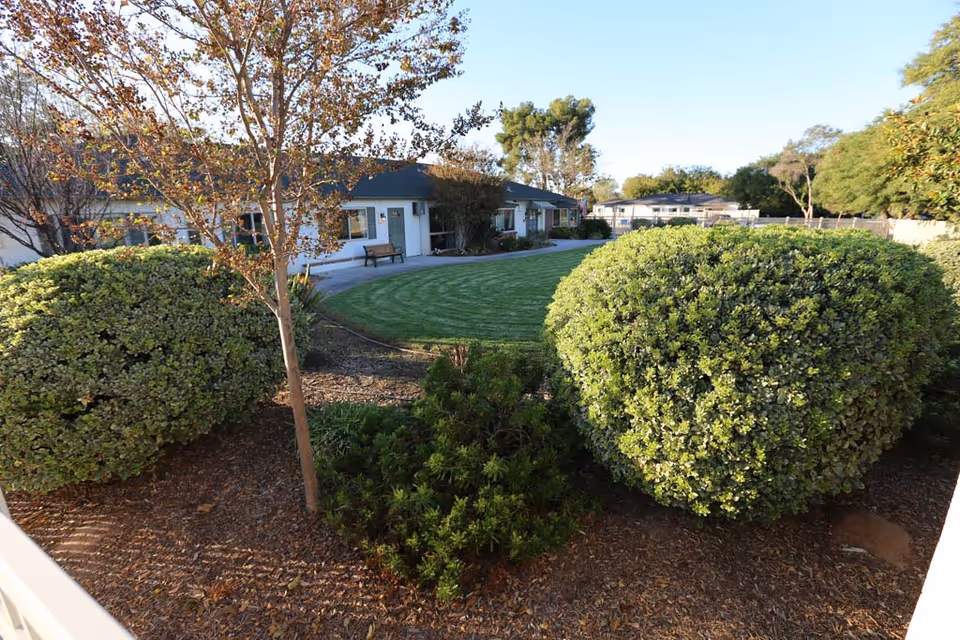 Landscaped courtyard with trimmed bushes, a curved grassy lawn and a single-story senior living building in the background.