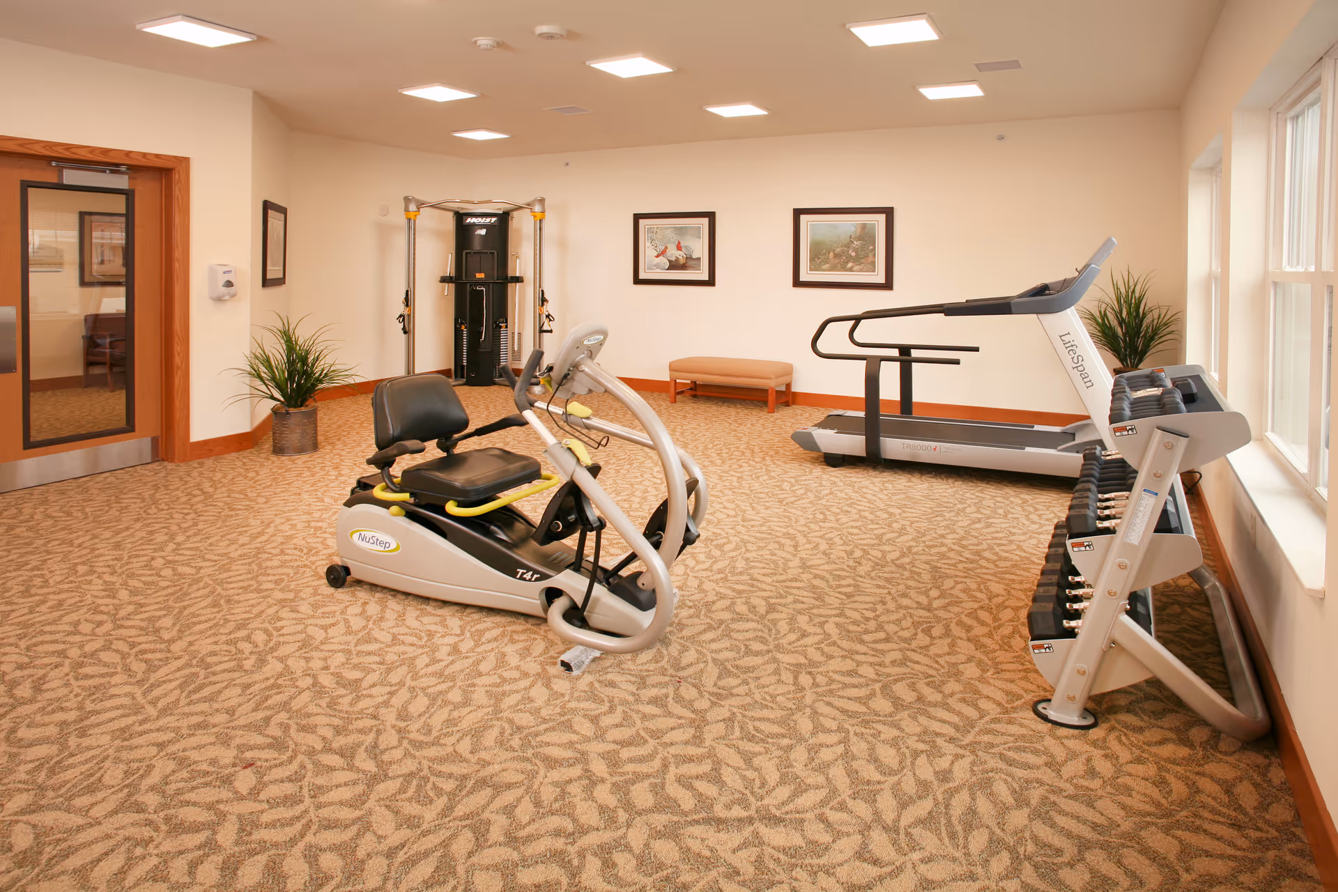 A well-lit exercise room with beige patterned carpet and cream-colored walls. The room contains various fitness equipment including a NuStep recumbent cross trainer, a treadmill, a multi-functional weight machine, and a rack of dumbbells. There are two framed pictures on the far wall and a small bench beneath them. A potted plant is placed near the door and another near the window, which lets in natural light.