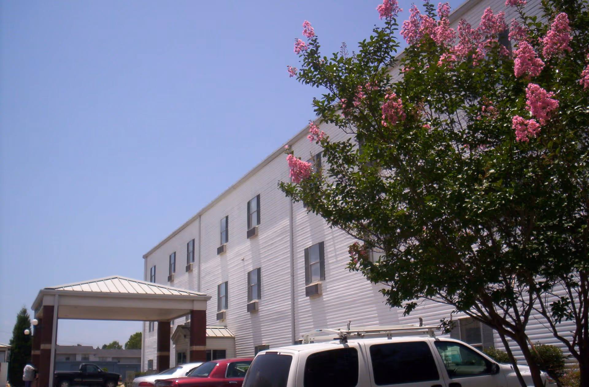 Exterior view of a white three-story building with multiple windows, a covered entrance, several parked cars, and a tree with pink flowers in the foreground under a clear blue sky.