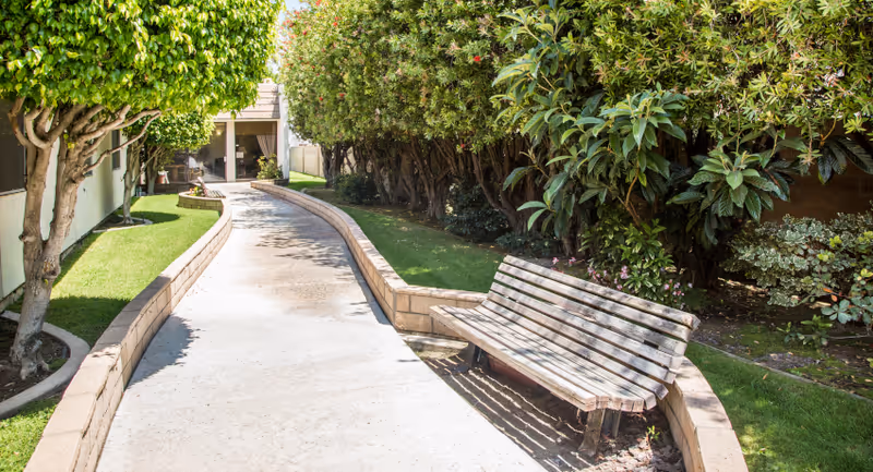 Curved concrete walkway through a landscaped courtyard with trimmed trees, shrubs and a wooden bench.