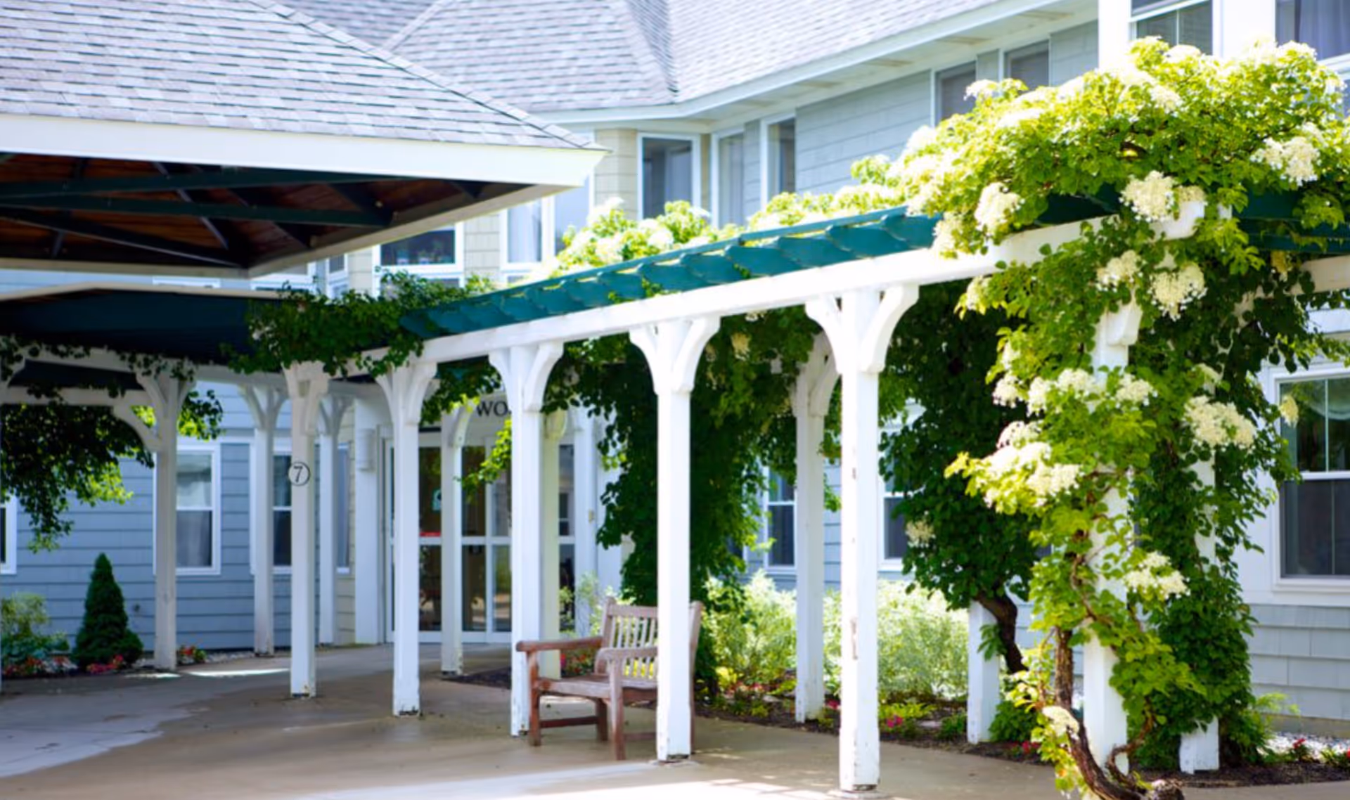 Outdoor covered walkway with white wooden beams and green vines with white flowers growing on them, adjacent to a light gray building with multiple windows. A wooden bench is placed under the walkway.