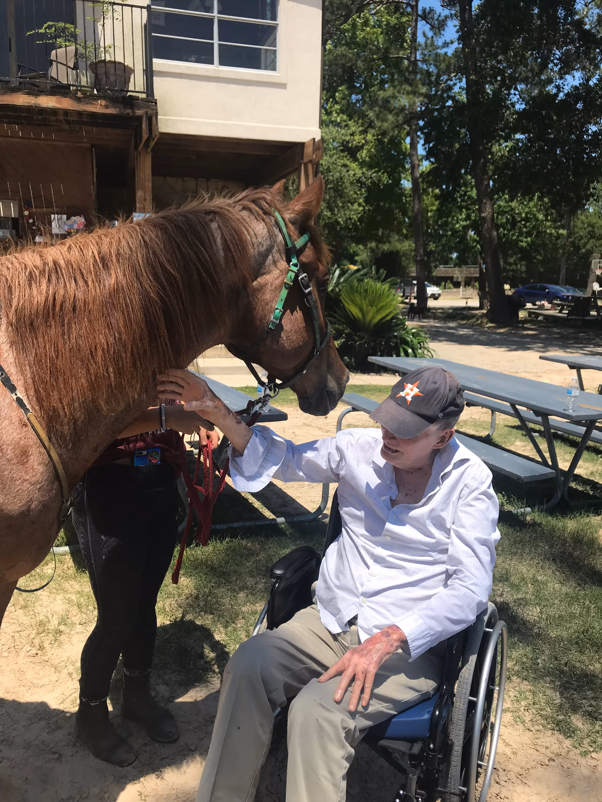 An elderly man in a wheelchair wearing a white shirt and a baseball cap is gently touching the face of a brown horse. A person standing next to the horse is holding its reins. The scene is outdoors with picnic tables, trees, and a building in the background.