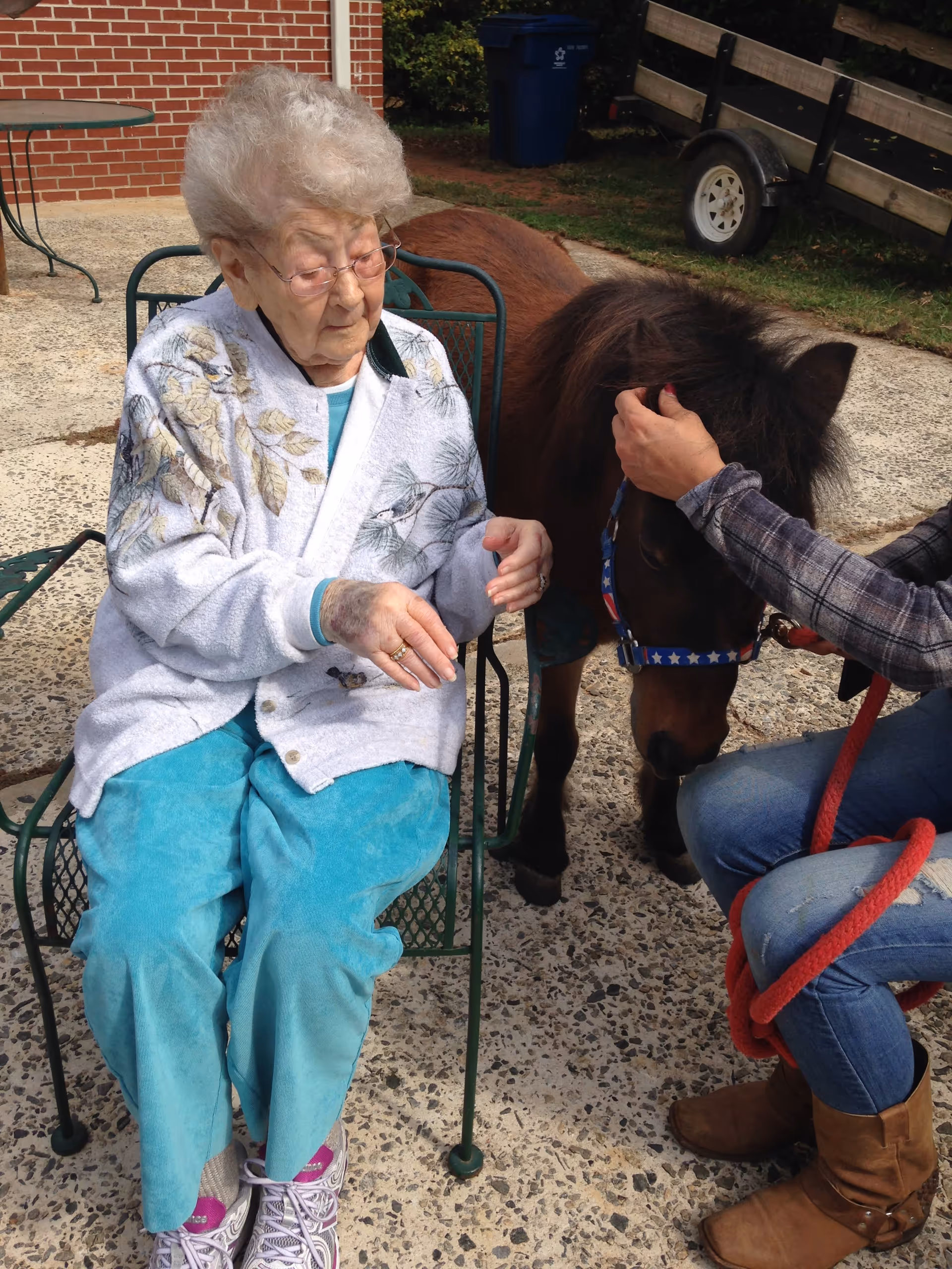 An elderly woman with glasses and a floral patterned cardigan sits on a green metal chair outdoors on a concrete patio. Next to her, a person wearing jeans and brown boots is holding the head of a small brown pony with a star-patterned halter. In the background, there is a brick wall, a blue recycling bin, and a wooden trailer.