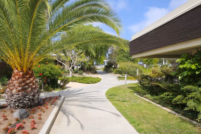 Sunlit landscaped walkway with a large palm tree, garden beds, and a building overhang in an outdoor courtyard.