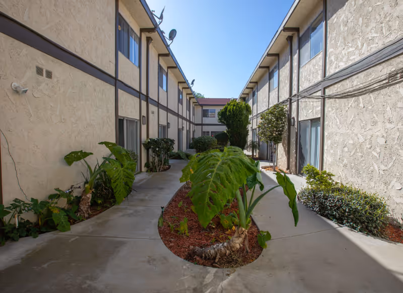 Outdoor courtyard area between two beige stucco buildings with brown trim. The courtyard has a concrete walkway curving around a landscaped area with large green leafy plants and small bushes. The buildings have multiple windows and satellite dishes on the roof. The sky is clear and blue.