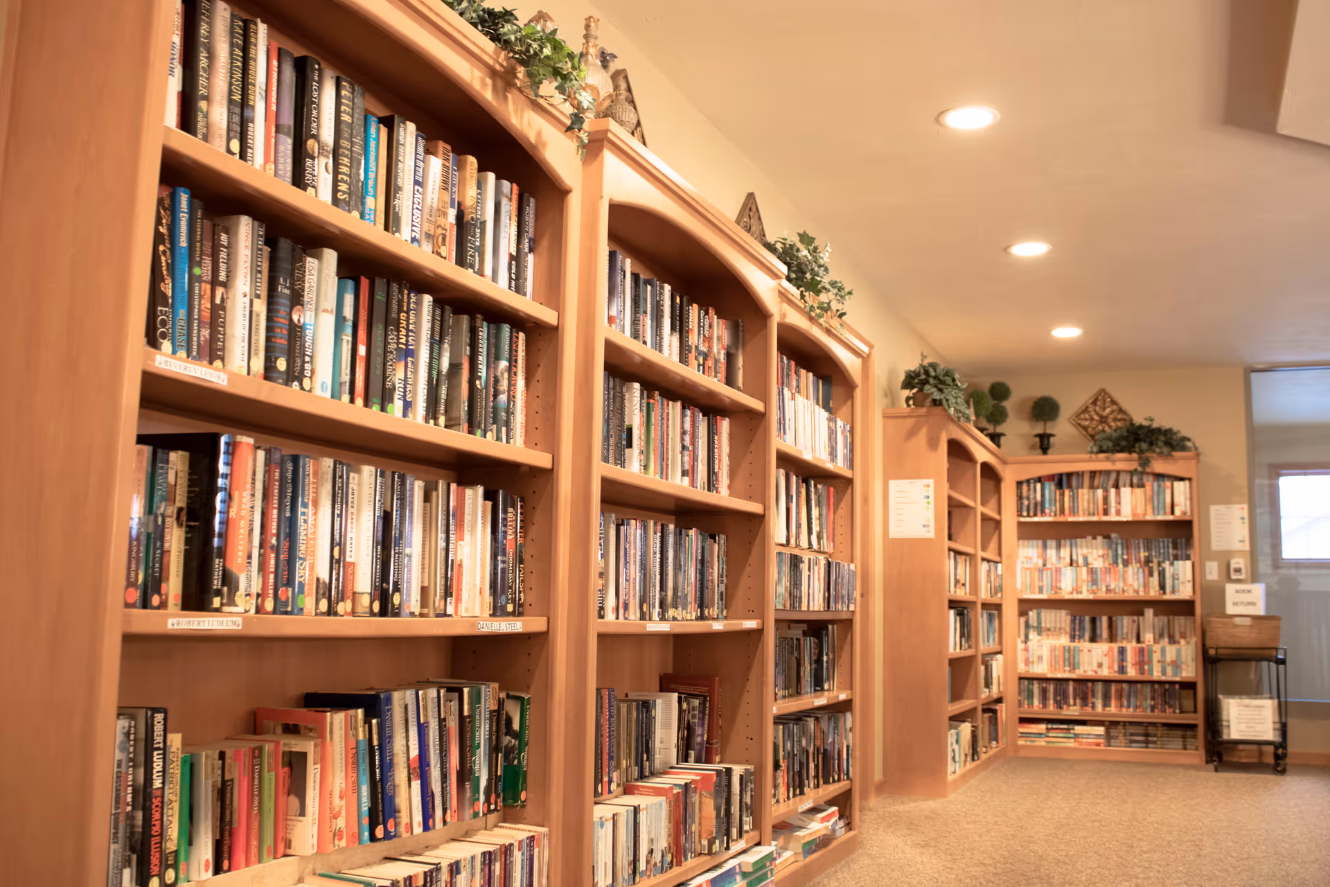 Interior view of a library or reading room with multiple wooden bookshelves filled with books. The shelves are decorated with green plants on top, and the room is well-lit with ceiling lights. There is a window and a small cart with books or materials near the back wall.