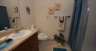 A bathroom with a sink and countertop on the left, a toilet in the center with a decorative plant beside it, a towel rack with towels on the wall, and a shower with a blue patterned curtain on the right. The walls are light-colored and there are small framed pictures hanging above the towel rack.