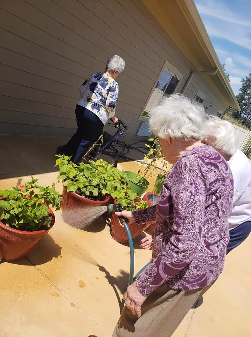 Three elderly women outdoors near a building. One woman in a purple patterned top is watering plants in large pots with a garden hose. Another woman with a walker is walking away from the camera, and a third woman is standing nearby. The scene is sunny with a clear blue sky.
