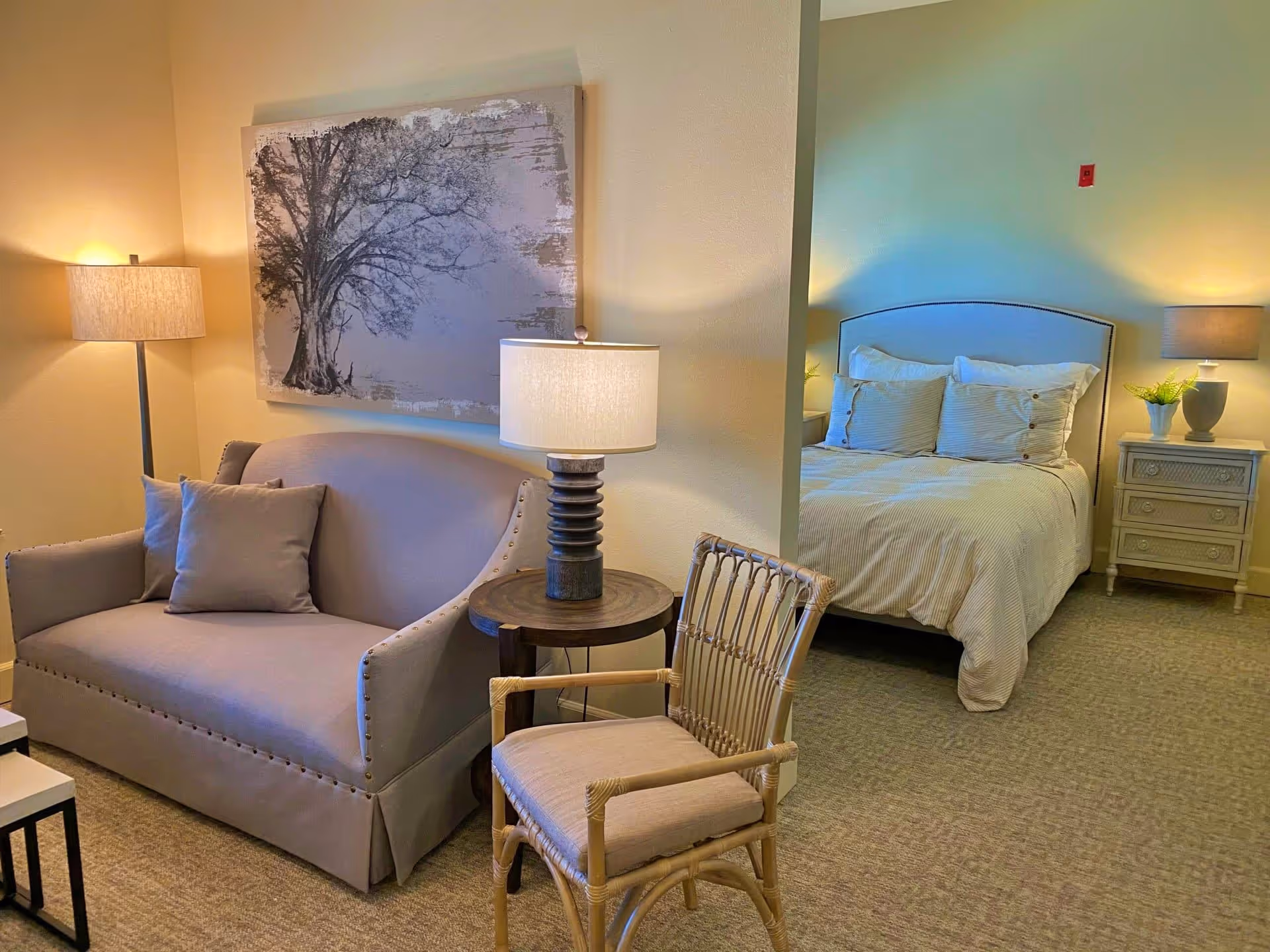 A cozy senior living room and bedroom area with a beige loveseat, a wooden side table with a lamp, a wicker chair, and a bed with white bedding and pillows. The bedroom area has a nightstand with a lamp and a small plant. A large artwork of a tree hangs on the wall above the loveseat.