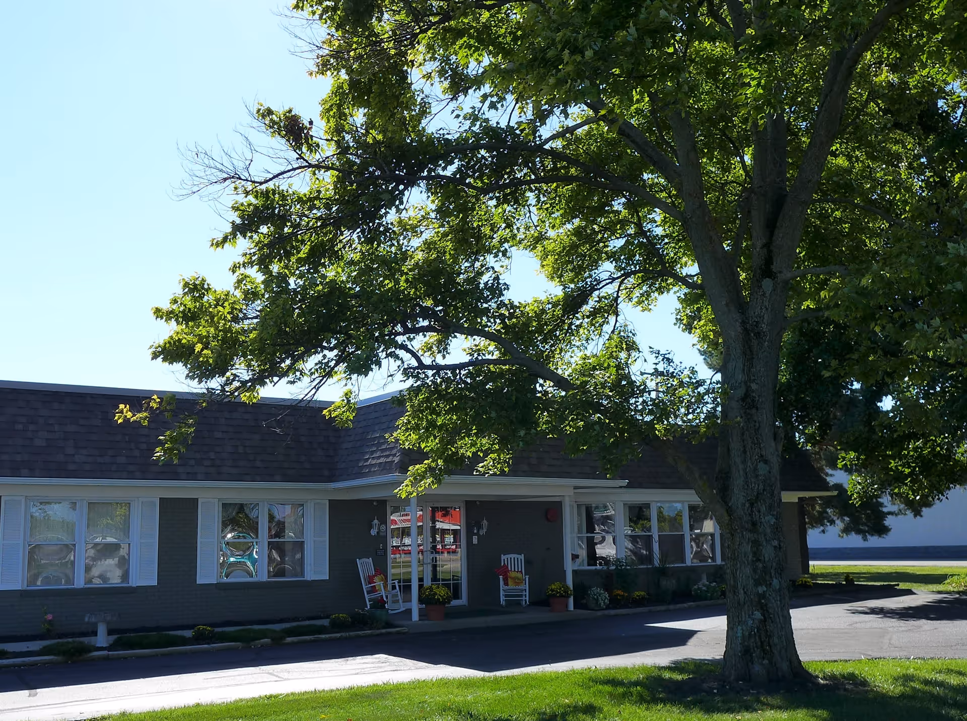 Exterior view of a single-story building with large windows and a covered entrance. Two white rocking chairs and potted plants are placed near the entrance. A large tree with green leaves is in the foreground, casting shadows on the building and driveway.