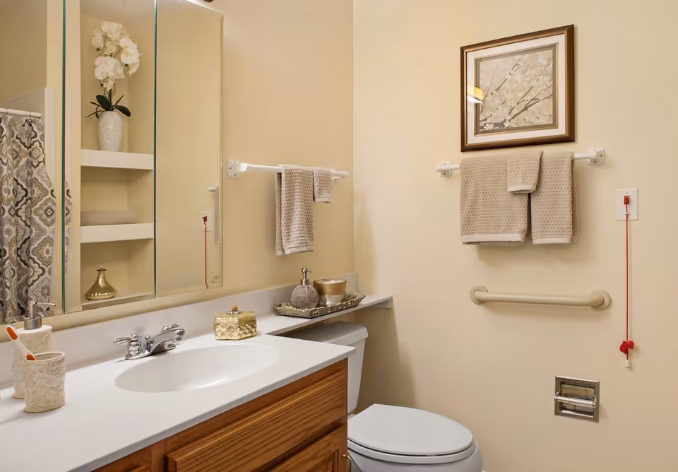 Well-lit bathroom with a sink and vanity, mirror and shelving, toilet, towel bars, grab bar, and decorative accents.