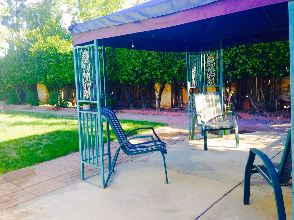 A shaded backyard patio with a metal gazebo and several outdoor chairs on a concrete slab next to lawn and hedges.