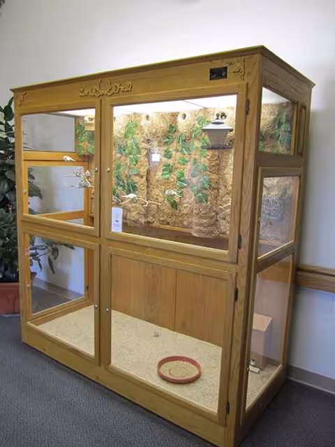 A tall wooden bird cage with glass panels and vine decor sits in an interior hallway.