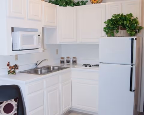 A small kitchen area with white cabinets, a double sink, a microwave oven mounted above the counter, a white refrigerator with a green potted plant on top, and a black chair with a cushion in the foreground.