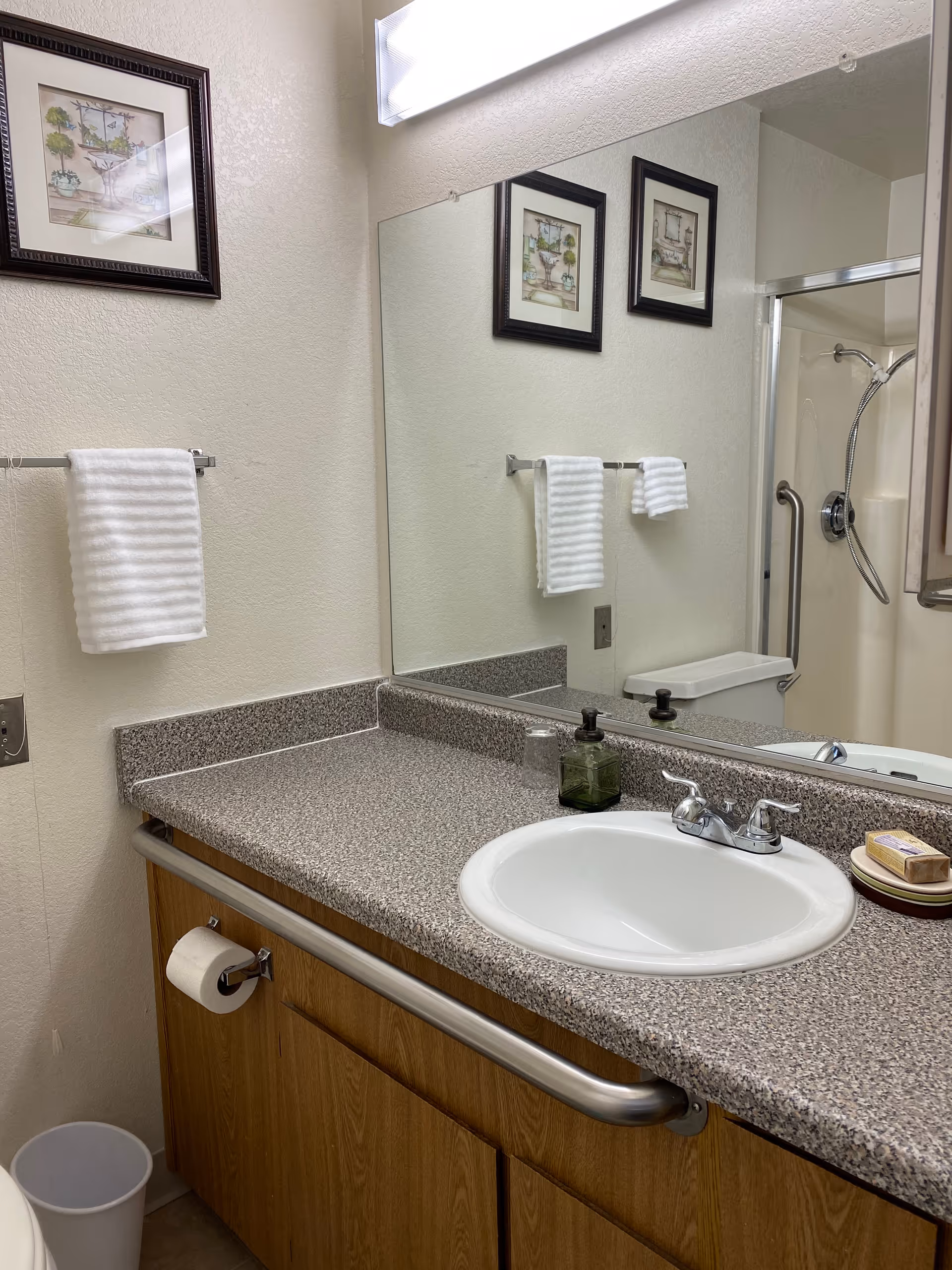 A bathroom countertop with a white sink, a soap dispenser, a dish with soap, and a large mirror above. There are two framed pictures on the wall reflected in the mirror, a towel rack with a white towel, a toilet paper holder with a roll of toilet paper, and a shower with a handheld showerhead in the background.