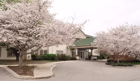 Entrance of Cedar Hills Senior Living facility with a curved driveway and blooming cherry blossom trees on both sides.