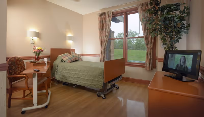 A single bed with green bedding and a plaid pillow in a well-lit room with wooden flooring. There is a wooden chair with floral upholstery next to a small overbed table holding a remote control and a vase with flowers. A flat-screen TV is on a wooden dresser, and a large window with floral curtains shows a green outdoor view. A tall potted plant is beside the TV.