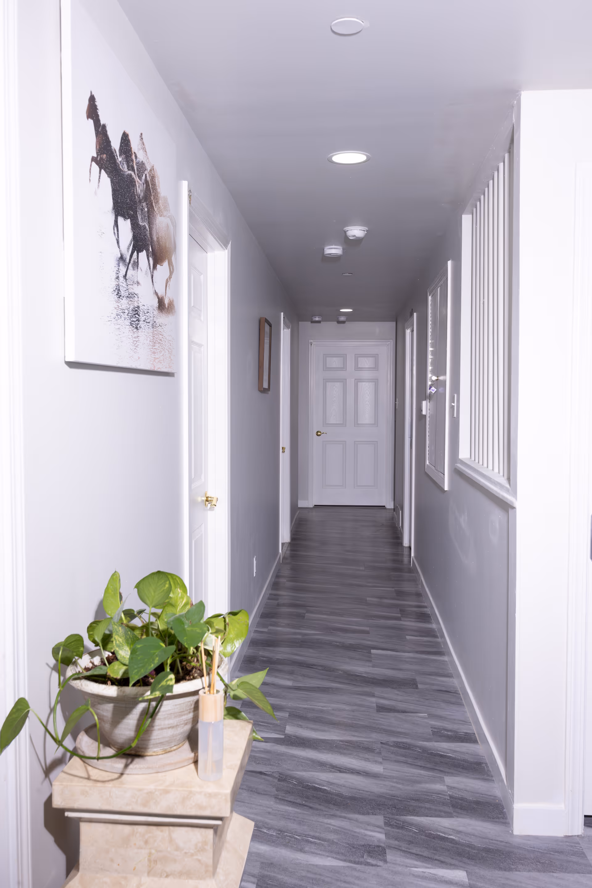 A long, narrow hallway with gray walls and gray wood-patterned flooring. There are several white doors along the hallway, a painting of running horses on the left wall, and a potted plant on a small pedestal near the foreground. The ceiling has recessed lighting and smoke detectors.