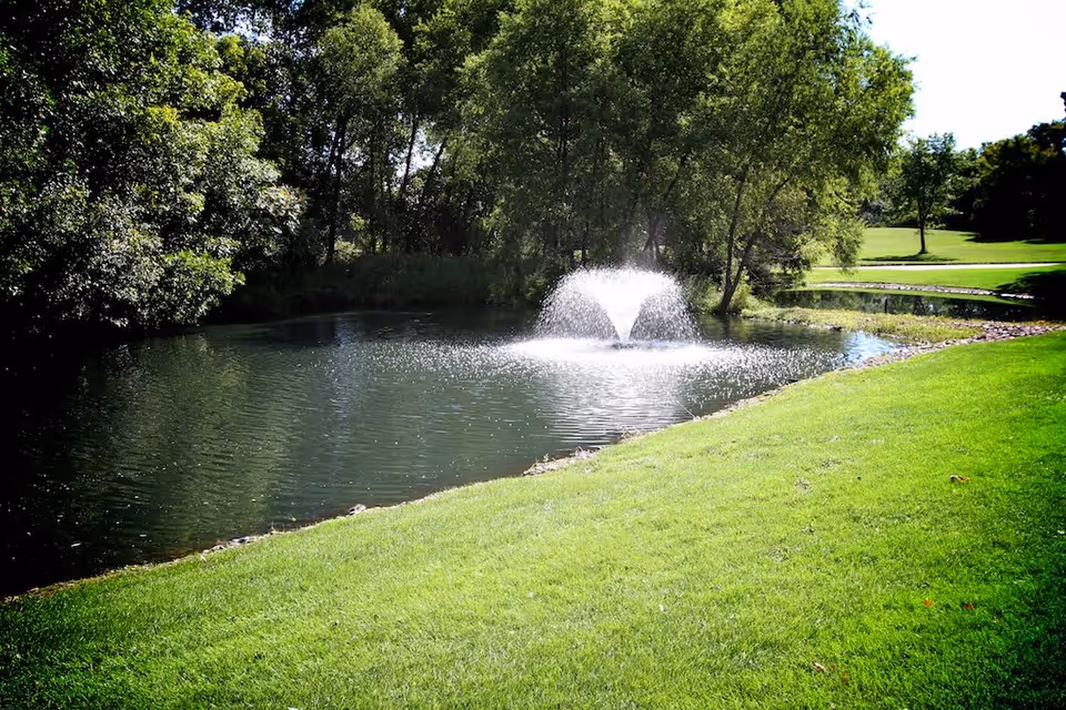A serene outdoor scene featuring a small pond with a water fountain in the center, surrounded by lush green grass and trees under a clear sky.