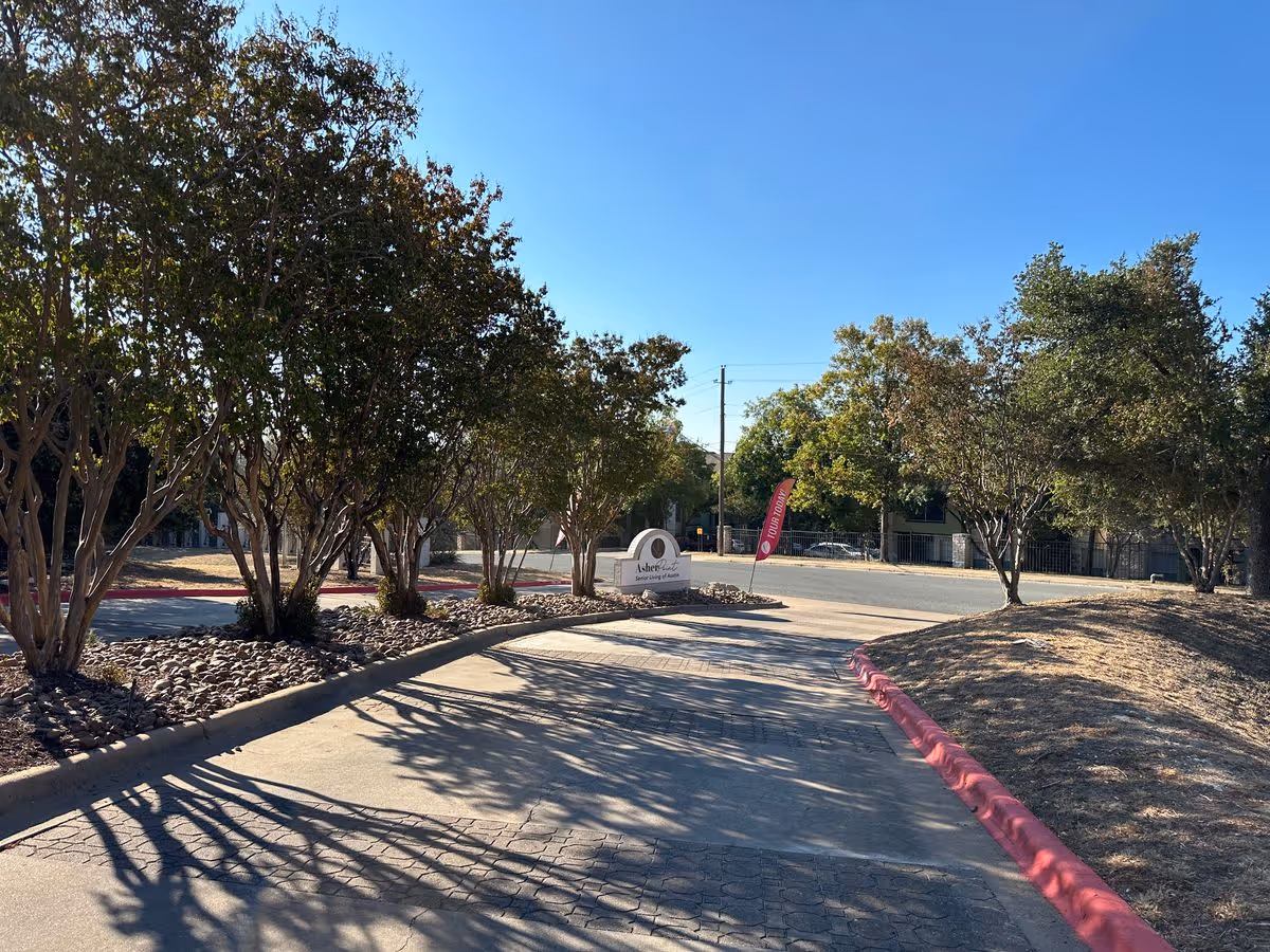 Sunlit driveway entrance lined with trees and landscaping leading to a low sign under a clear blue sky.