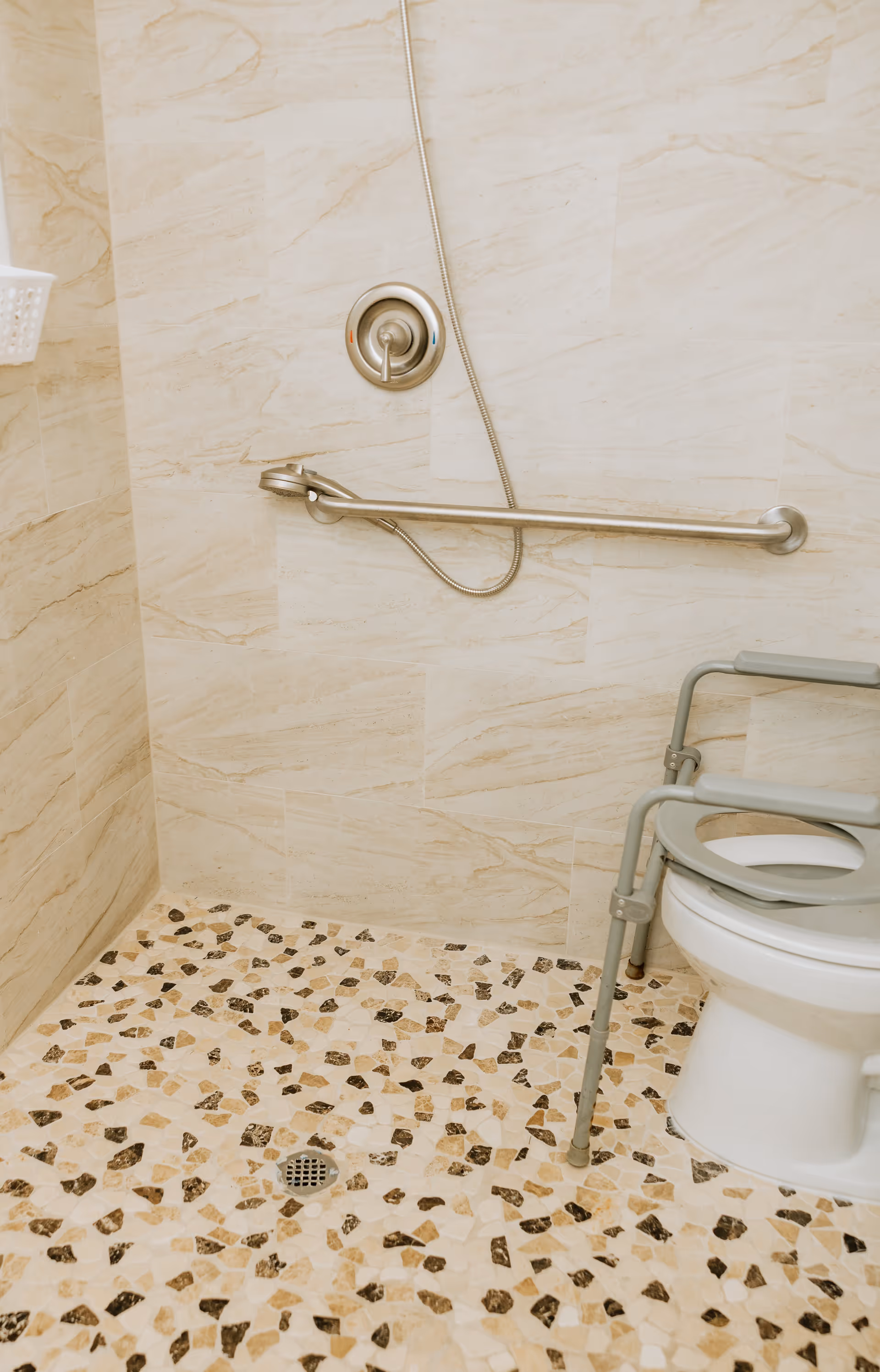 Accessible shower and toilet area with a handheld showerhead, horizontal grab bar, raised toilet frame, and patterned tile floor.