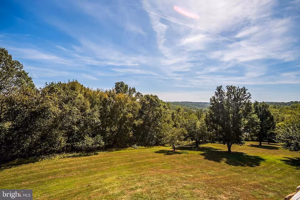 A scenic outdoor view featuring a grassy field with scattered trees and a dense forest in the background under a partly cloudy blue sky.