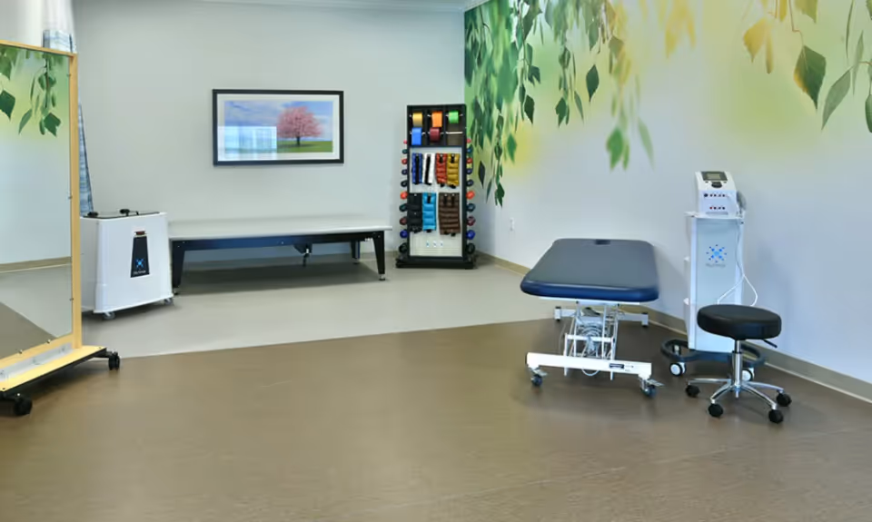 A bright therapy/rehab room with a treatment table, weights rack, bench, stool and medical equipment against a leafy wall mural.
