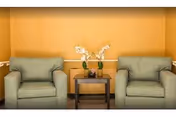 Two light green upholstered armchairs separated by a small wooden side table with a glass top, holding two white orchid plants in green pots and a small decorative item, set against a warm orange wall with white trim.