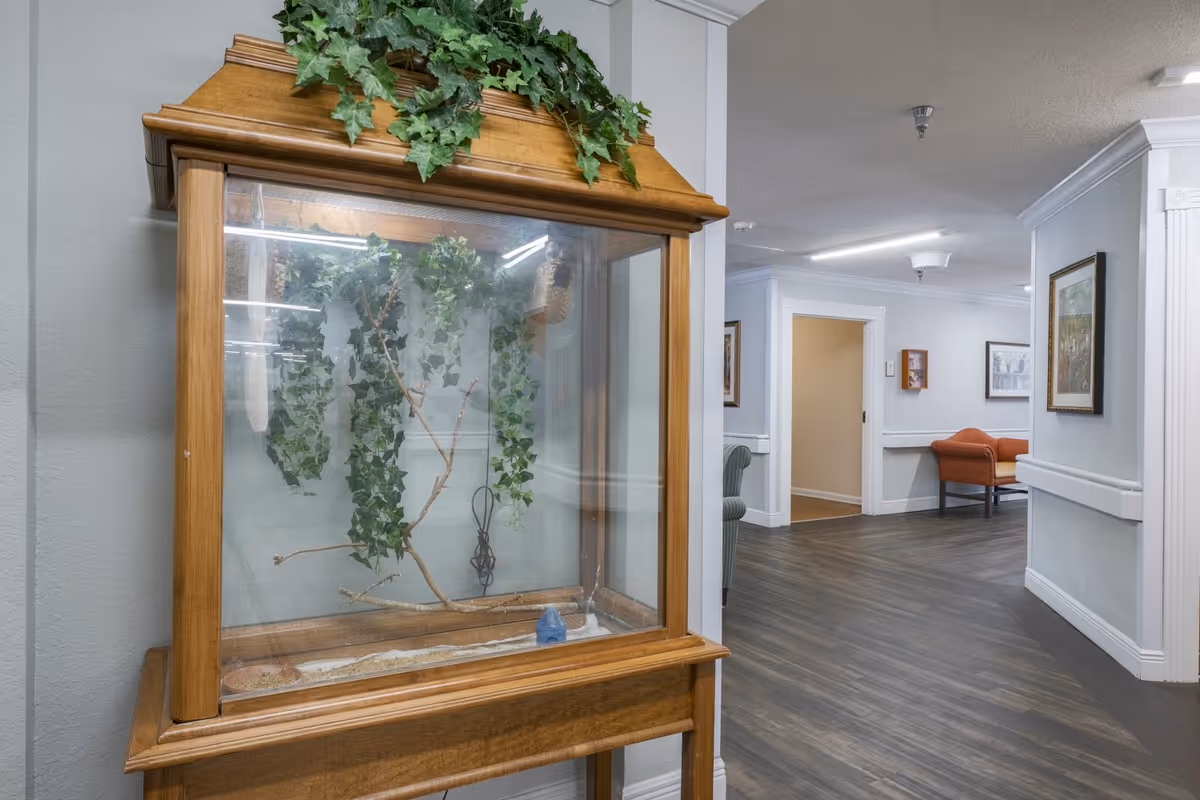 Interior hallway of a senior living facility with a wooden glass display case containing plants and seating visible down the corridor.