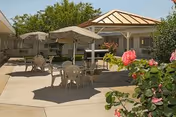 Outdoor patio area with several round tables and chairs under large beige umbrellas. There is a building with a covered entrance in the background and pink flowers in the foreground.