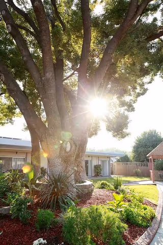 Sunlight shining through the branches of a large tree in a landscaped garden area with various plants and shrubs, surrounded by a pathway and buildings in the background at Garden City Healthcare Center.