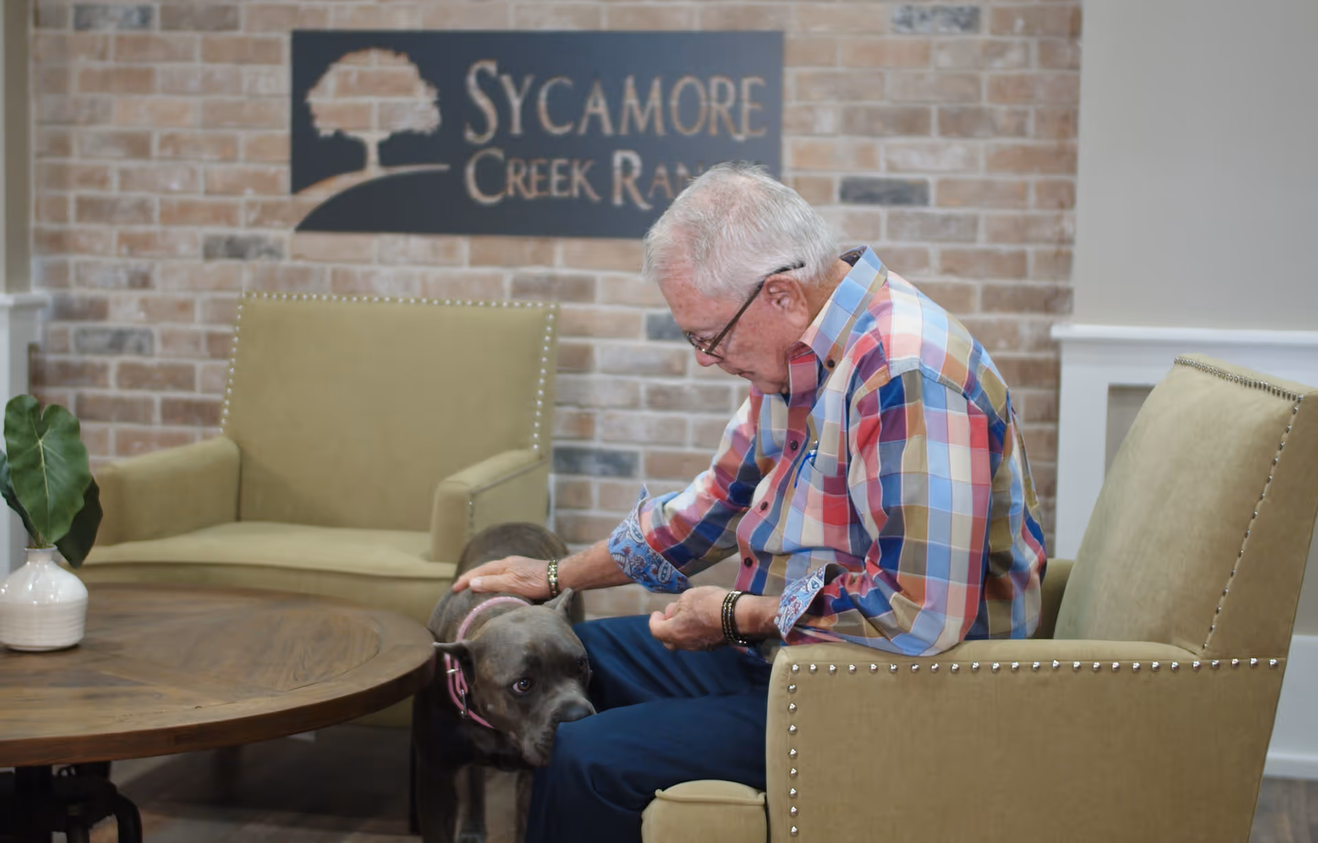 An older man sits in a lounge area petting a gray dog with a brick wall sign reading 'Sycamore Creek Ranch' behind them.