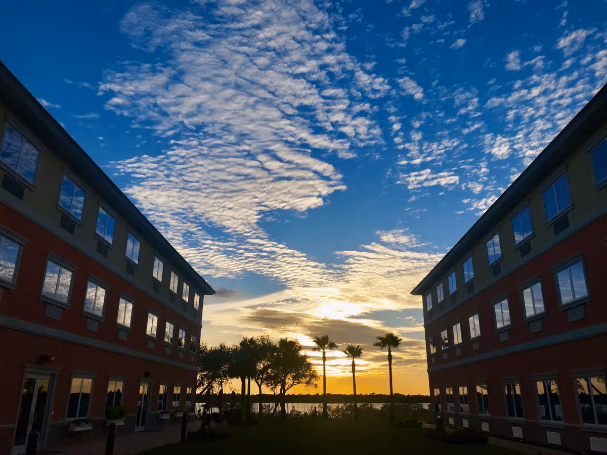 Sunset view between two multi-story buildings with reflective windows, palm trees, and other trees near a waterfront under a partly cloudy sky.
