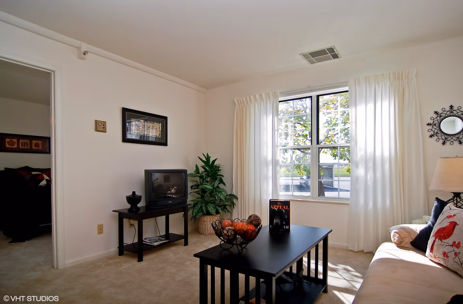 Bright living room with a sofa, coffee table, small TV on a stand, potted plant, and a large window with white curtains.