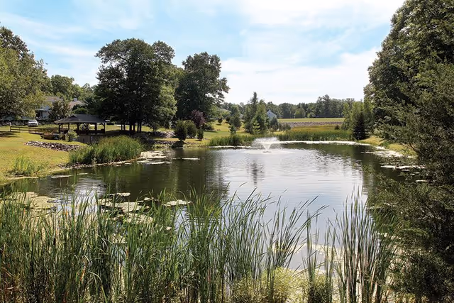 A tranquil pond with a small fountain surrounded by reeds, trees, and a gazebo on a sunny day.
