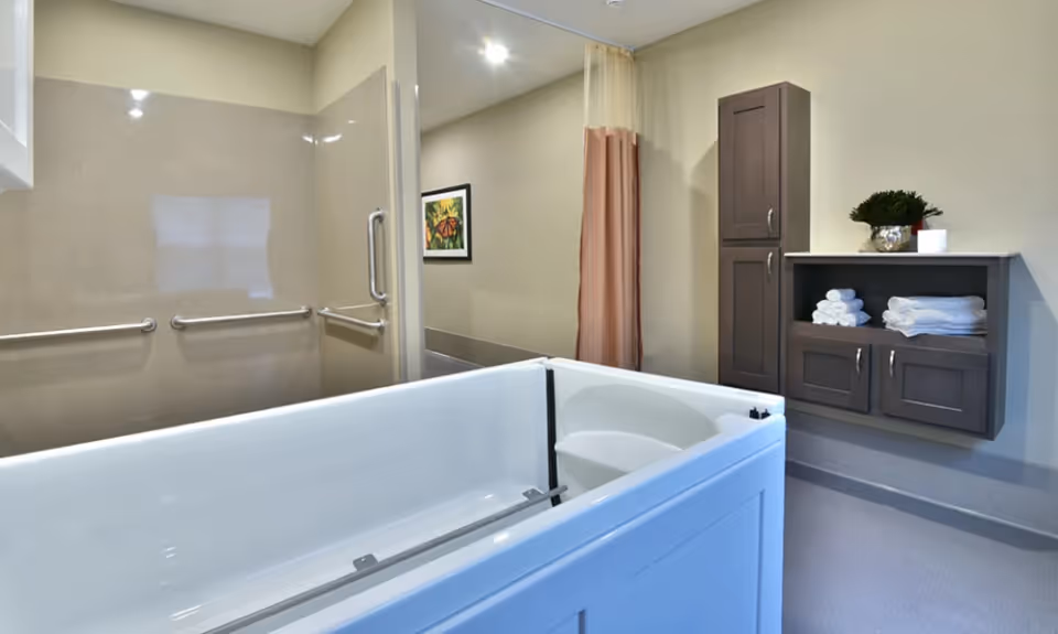 A clean and accessible bathroom featuring a white walk-in bathtub with a door, grab bars on the walls, a shower area with a glass door, a brown cabinet with towels and a small plant, and a framed picture on the wall.