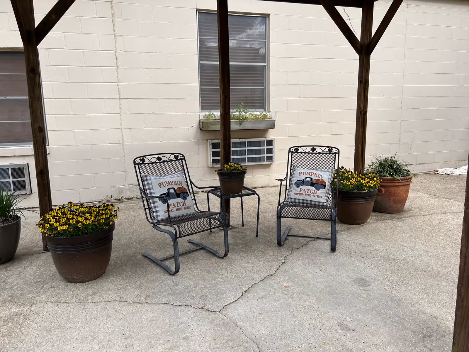Two metal patio chairs with 'Pumpkin Patch' pillows under a wooden pergola surrounded by potted flowers in a concrete courtyard beside a beige building wall.