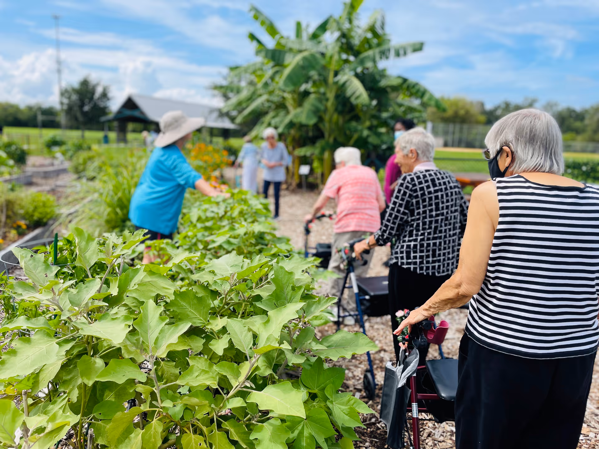 A group of elderly people, some using walkers, are gathered in a garden area with lush green plants and trees under a blue sky with clouds. One person in a blue shirt and wide-brimmed hat appears to be tending to the plants while others observe or walk along a path.