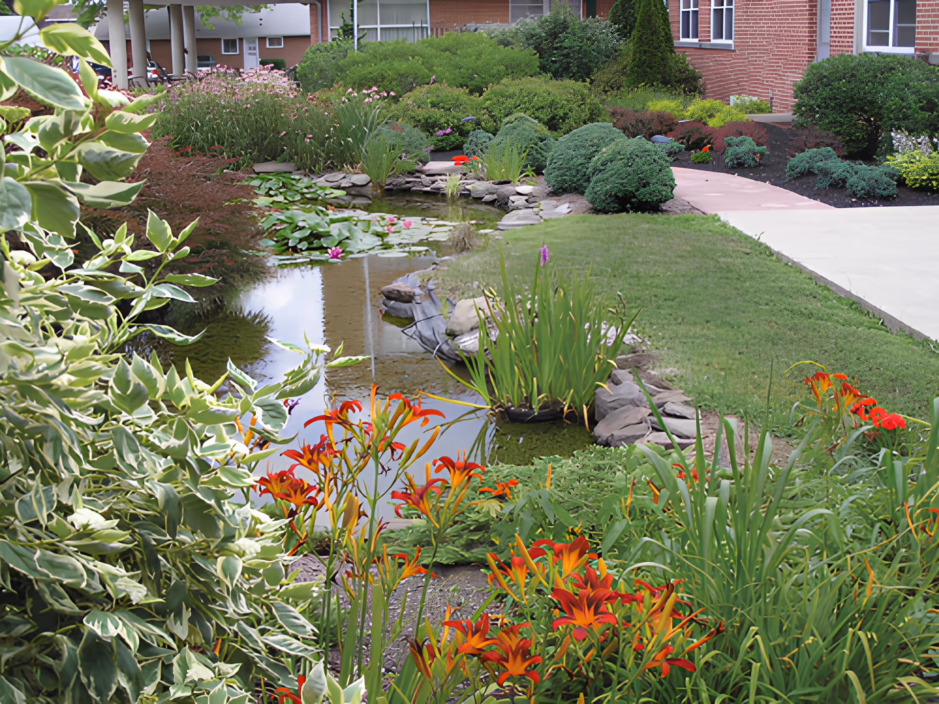A landscaped garden area with a small pond surrounded by various green shrubs, flowering plants including orange lilies, and a stone border. A brick building and a paved walkway are visible in the background.