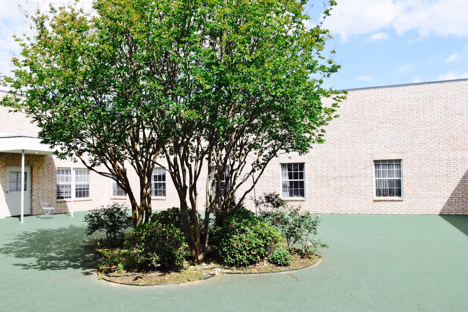 A courtyard area with a green painted ground, a cluster of trees and bushes in the center, surrounded by beige brick walls with windows. There is a covered entrance with a door and a metal chair on the left side under the roof.