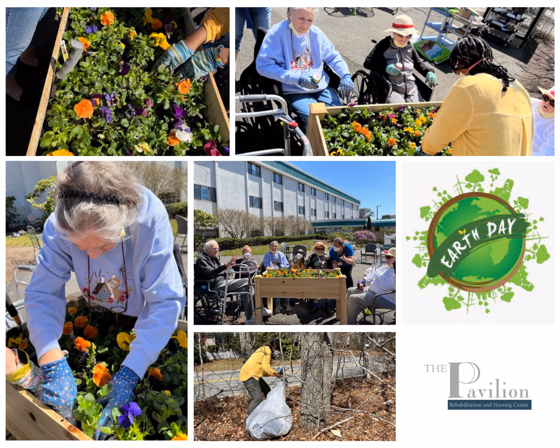 A collage showing elderly residents and a caregiver engaging in outdoor gardening activities with colorful flowers in raised garden beds, a group sitting outside the Pavilion Rehabilitation and Nursing Center building, a person collecting leaves in a bag, an Earth Day graphic, and the Pavilion Rehabilitation and Nursing Center logo.