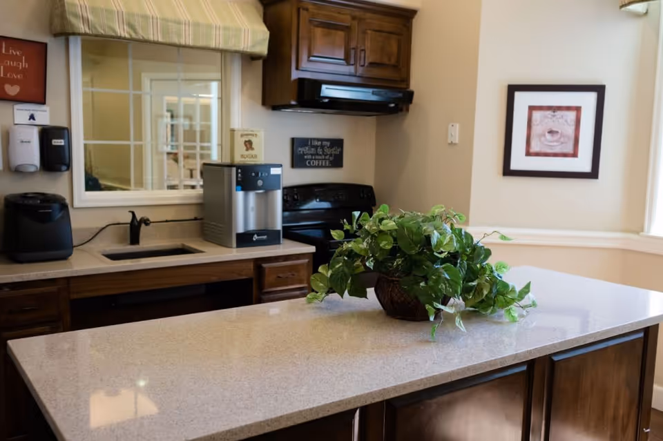 Bright kitchen with a center island topped by a potted plant, sink, coffee machine, and stove with wooden cabinets.