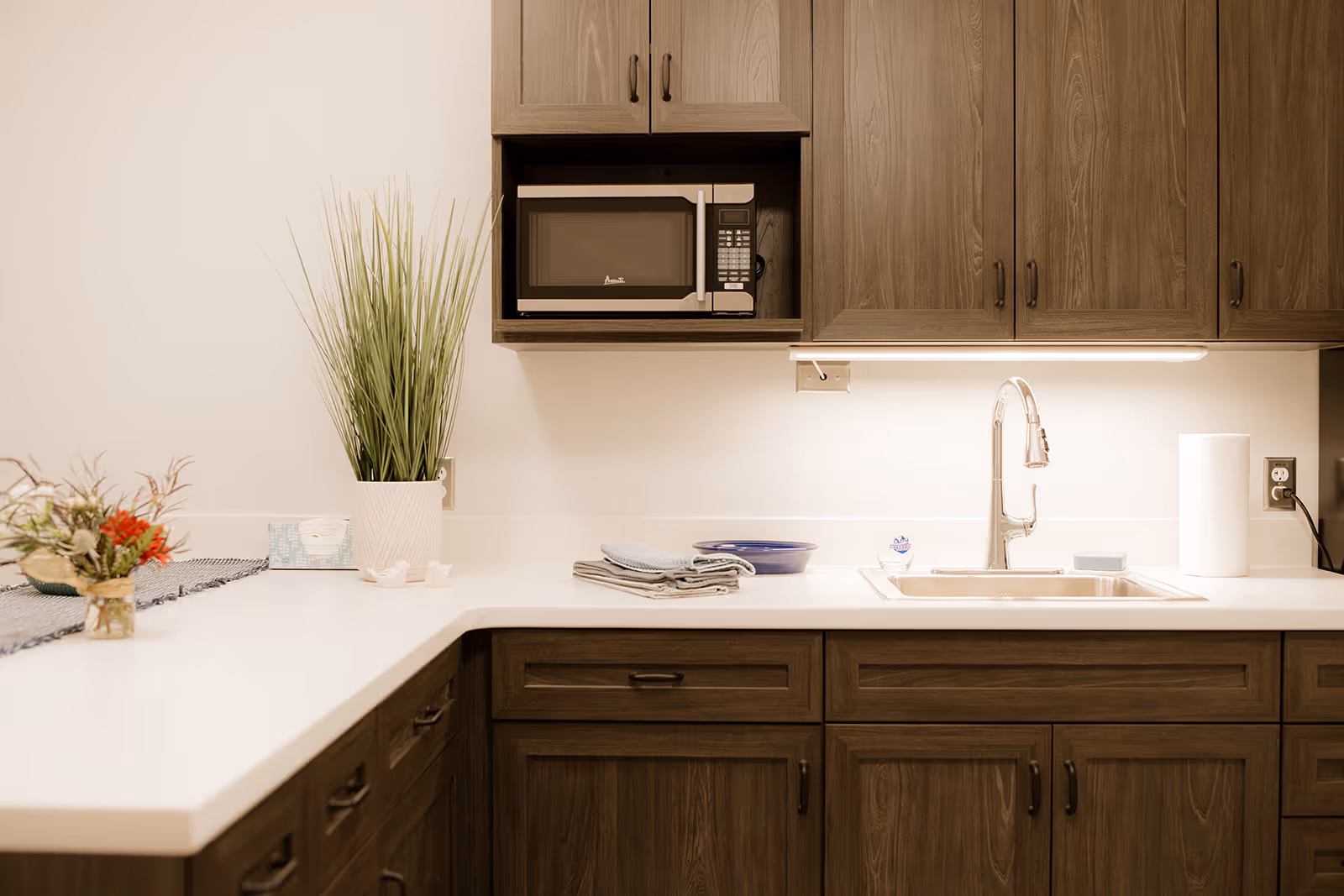 A kitchenette countertop with dark wood cabinets, a microwave, sink and decorative plant.