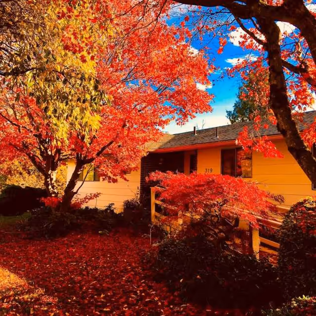 Autumn-colored trees surround a single-story yellow facility with a small entrance, red foliage framing the front.