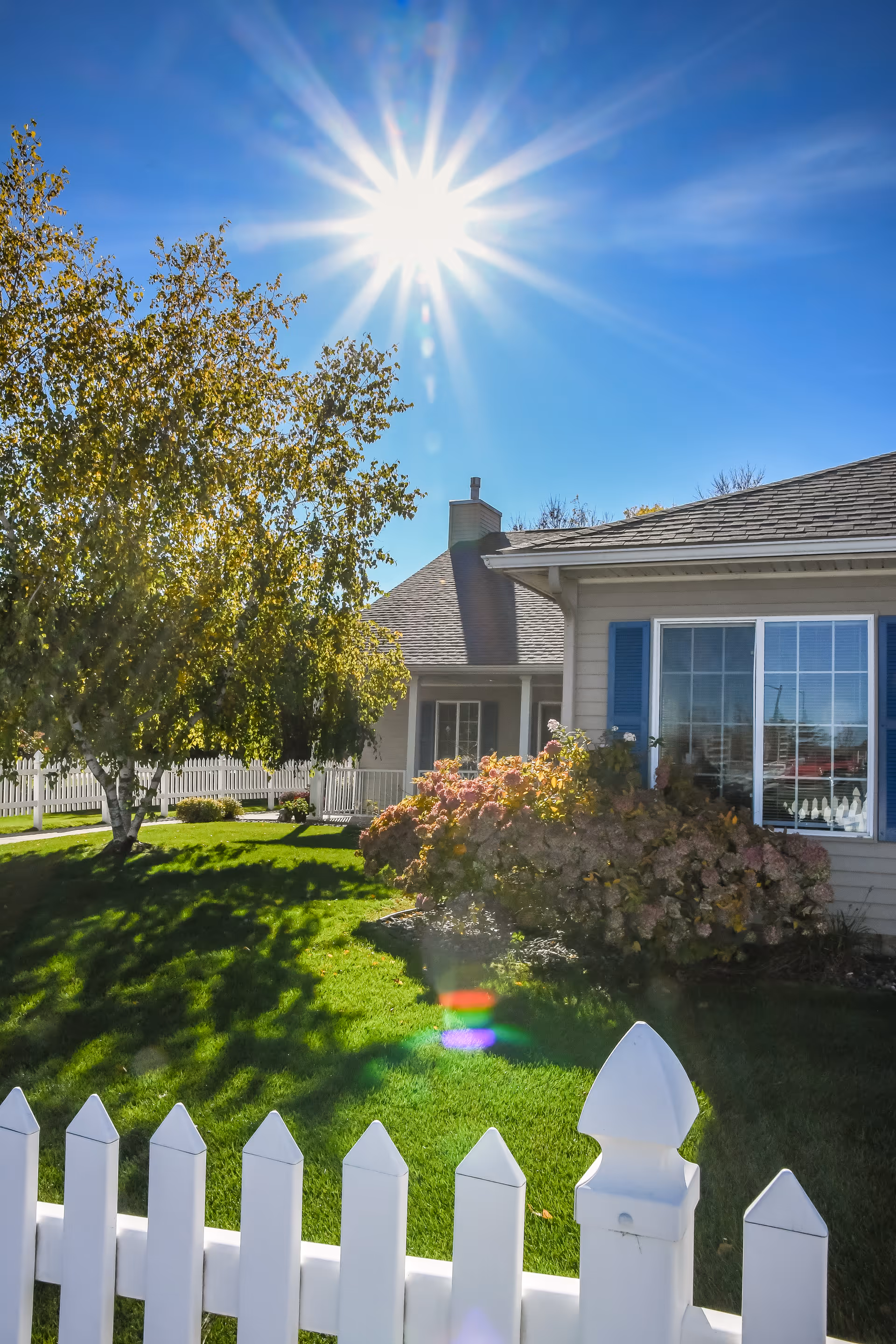 Sunlit front yard with a white picket fence, green lawn, a tree and the front of a cottage under a bright blue sky.